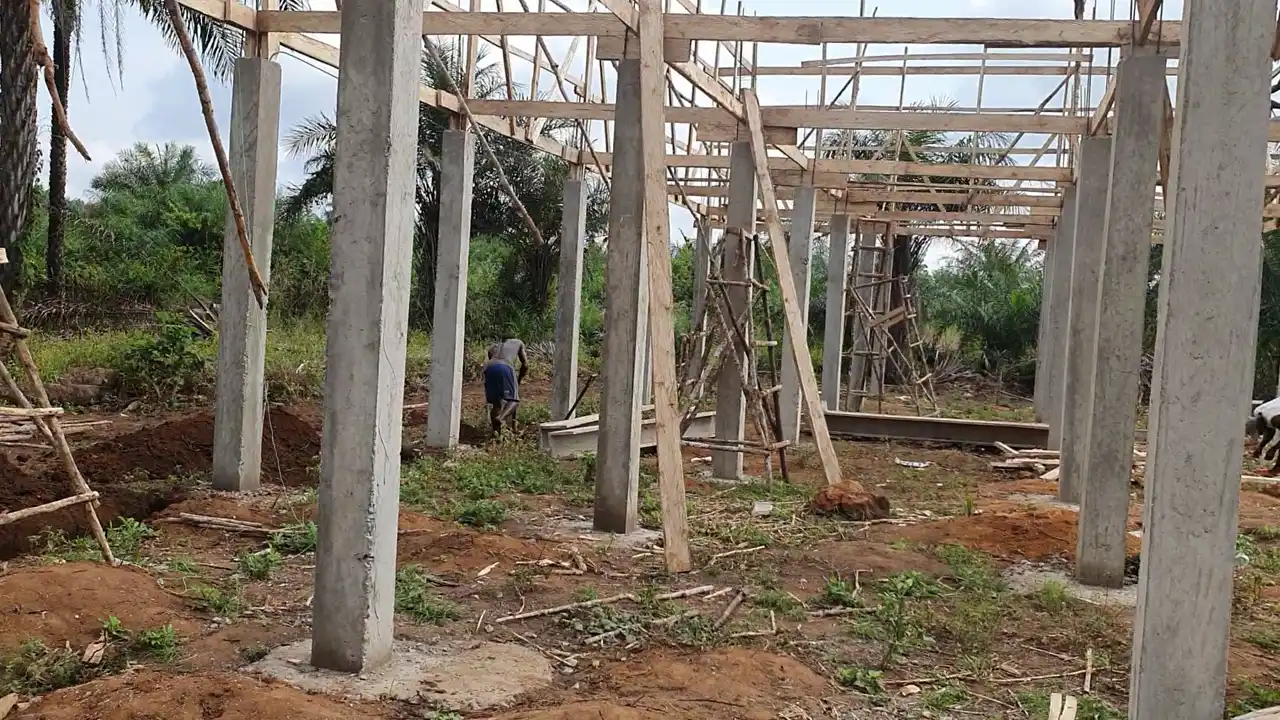 poultry-gallery (4)