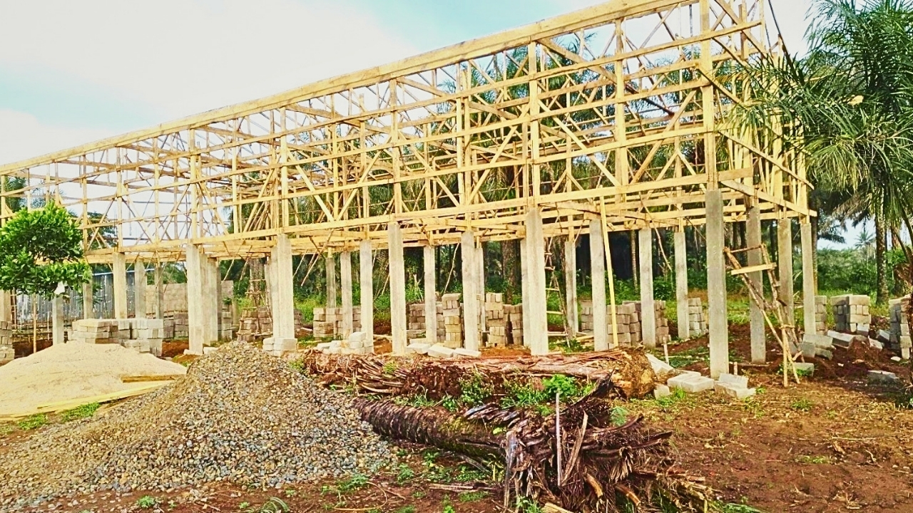 poultry-projects